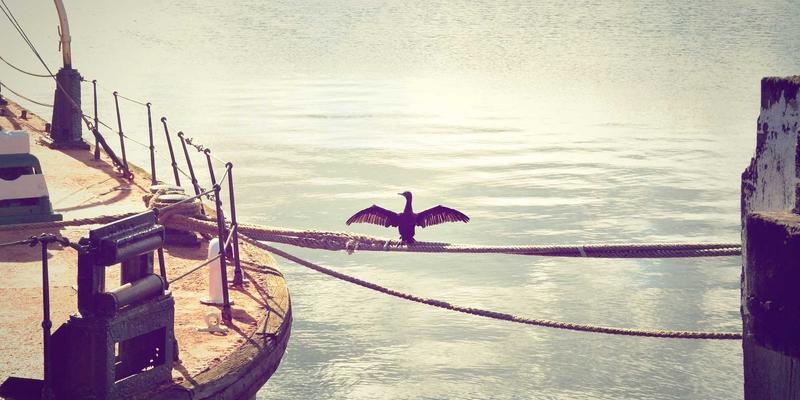 Unity vs Unreal Engine：独立游戏开发者如何选择？以Adam's Game为例的深度对比分析