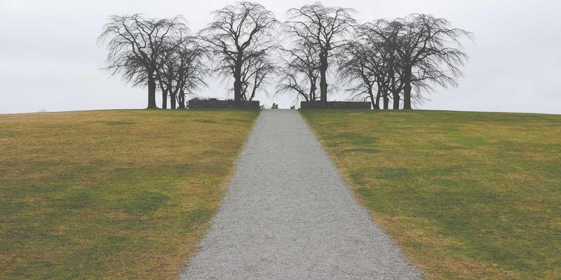 从复古游戏到Adam's Game：程序化内容生成的算法奥秘与设计哲学