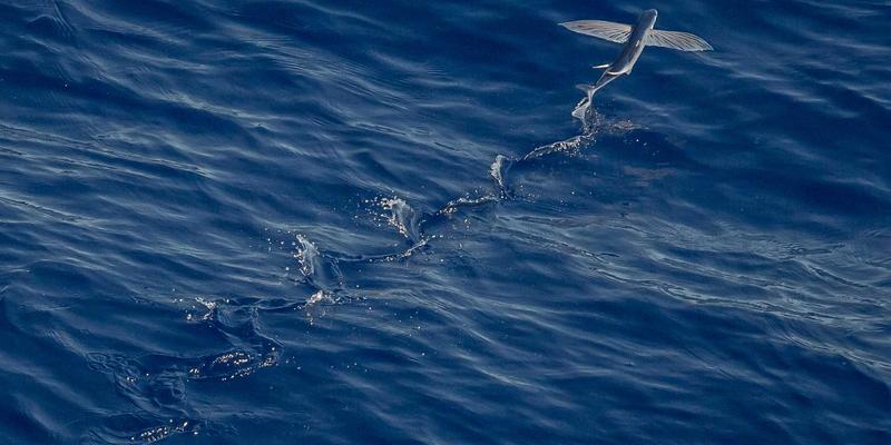 像素艺术与复古风潮：手机游戏开发中的性能优化与内存管理核心技巧