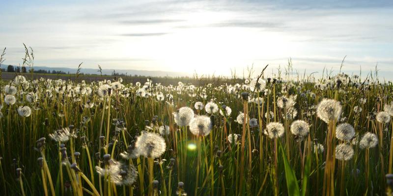 复古与独立：现代游戏开发中的经典设计与创新浪潮