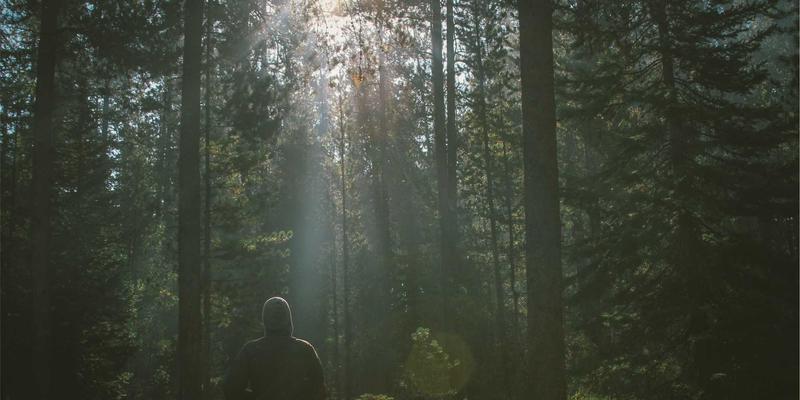 游戏AI行为树设计：从简单巡逻到复杂战斗逻辑的构建
