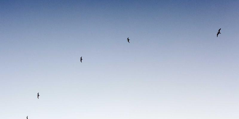 游戏UI/UX设计：从原型到高保真交互的迭代方法