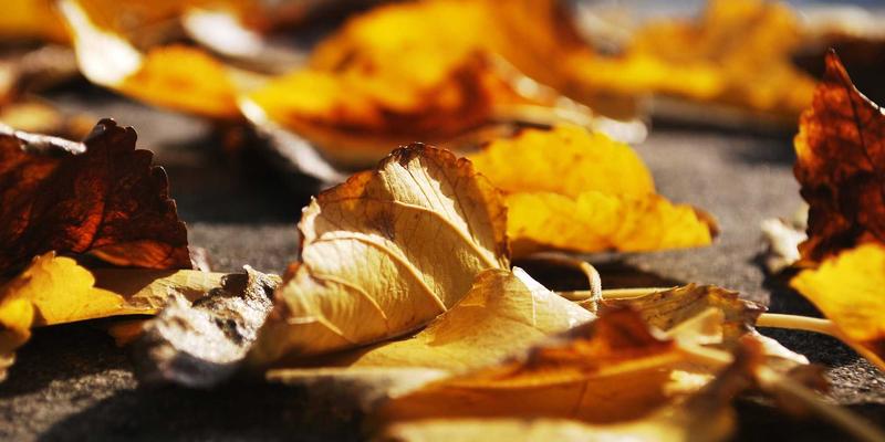 游戏开发中的三层测试方法论：从代码到体验的完整流程