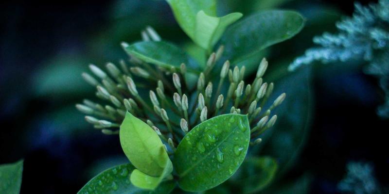 游戏物理引擎编程解析：从Adam's Game看刚体、柔体与流体模拟的实现原理