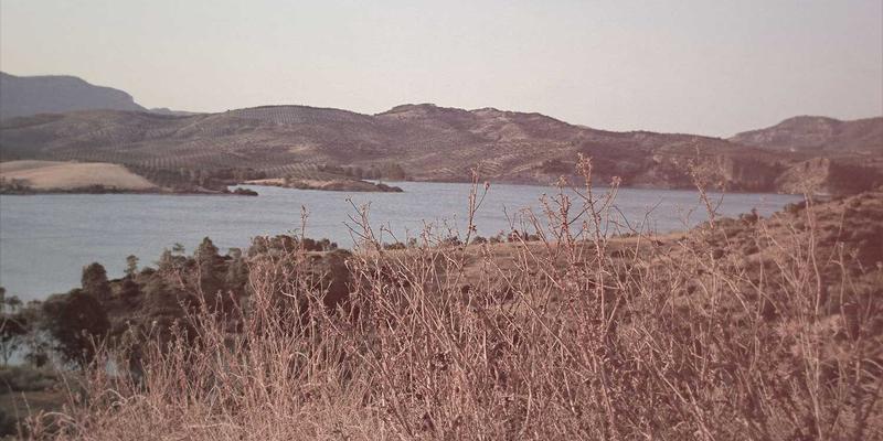 独立游戏叙事设计：分支剧情与玩家选择权的实现技巧