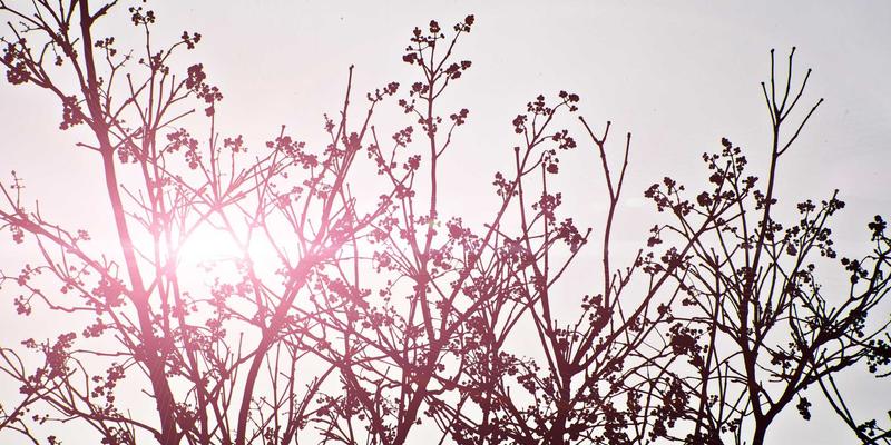 独立游戏盈利模式深度解析：混合变现、IAP设计与广告植入策略