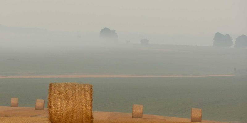 程序化内容生成：独立游戏开发的算法革新与未来蓝图