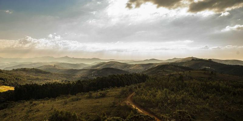 跨平台游戏开发实战：用Godot引擎实现一次编写，多端发布